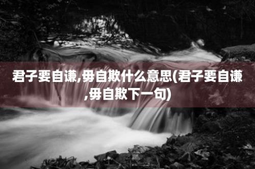 君子要自谦,毋自欺什么意思(君子要自谦,毋自欺下一句)