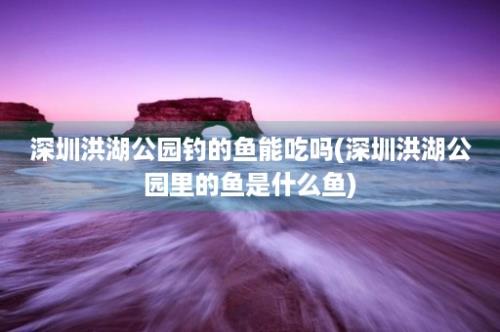 深圳洪湖公园钓的鱼能吃吗(深圳洪湖公园里的鱼是什么鱼)