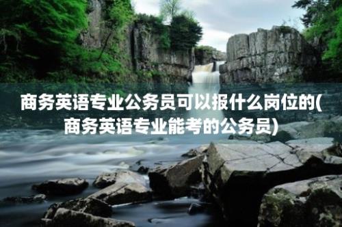 商务英语专业公务员可以报什么岗位的(商务英语专业能考的公务员)