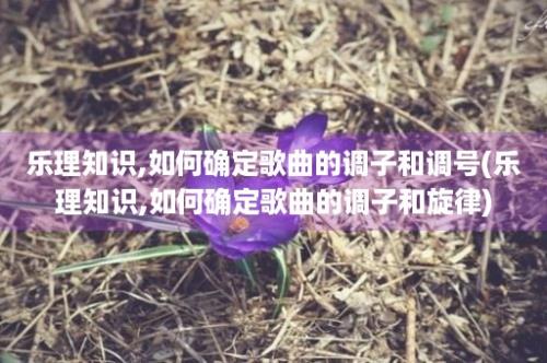 乐理知识,如何确定歌曲的调子和调号(乐理知识,如何确定歌曲的调子和旋律)