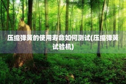 压缩弹簧的使用寿命如何测试(压缩弹簧试验机)