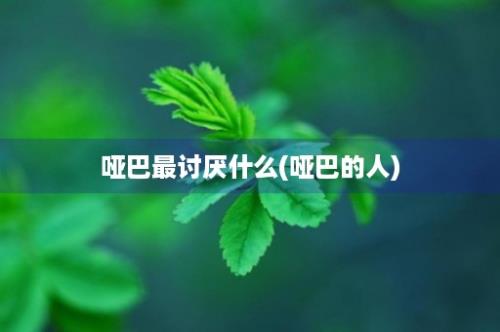 哑巴最讨厌什么(哑巴的人)