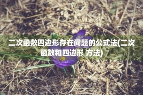 二次函数四边形存在问题的公式法(二次函数和四边形 方法)