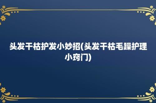 头发干枯护发小妙招(头发干枯毛躁护理小窍门)