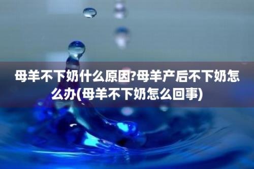 母羊不下奶什么原因?母羊产后不下奶怎么办(母羊不下奶怎么回事)