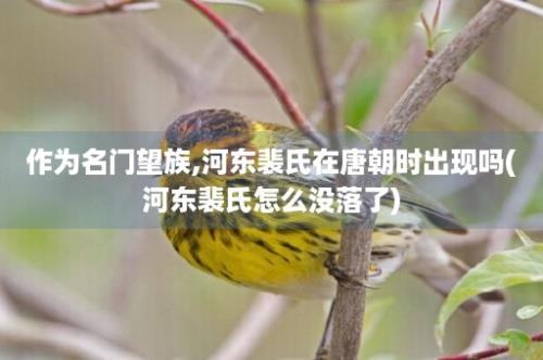 作为名门望族,河东裴氏在唐朝时出现吗(河东裴氏怎么没落了)