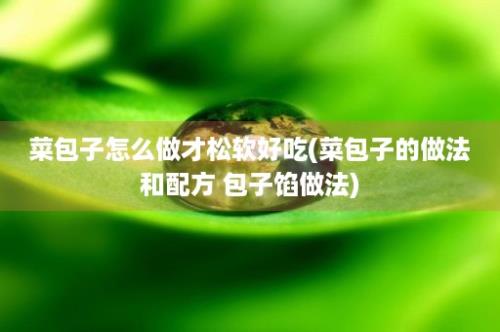 菜包子怎么做才松软好吃(菜包子的做法和配方 包子馅做法)