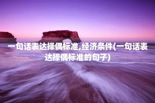 一句话表达择偶标准,经济条件(一句话表达择偶标准的句子)