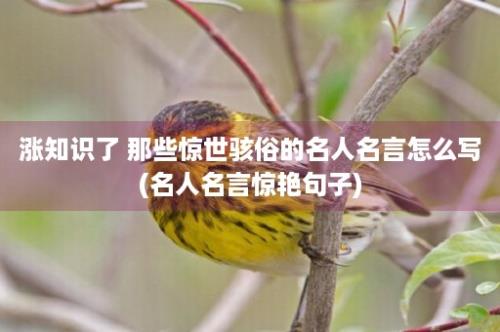 涨知识了 那些惊世骇俗的名人名言怎么写(名人名言惊艳句子)