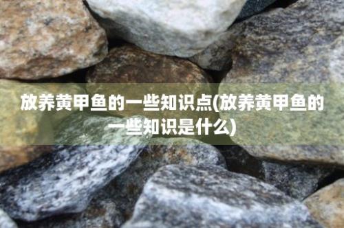 放养黄甲鱼的一些知识点(放养黄甲鱼的一些知识是什么)