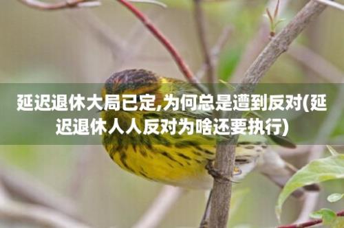 延迟退休大局已定,为何总是遭到反对(延迟退休人人反对为啥还要执行)