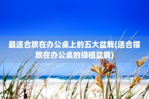 最适合放在办公桌上的五大盆栽(适合摆放在办公桌的绿植盆栽)