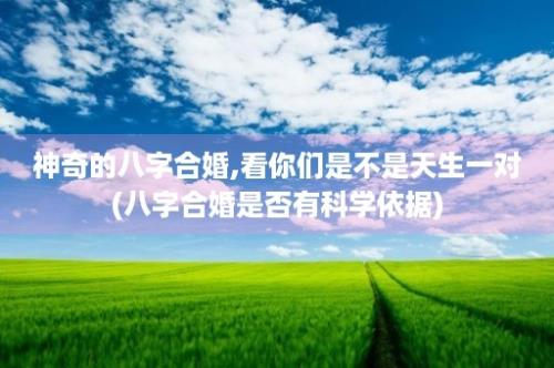 神奇的八字合婚,看你们是不是天生一对(八字合婚是否有科学依据)