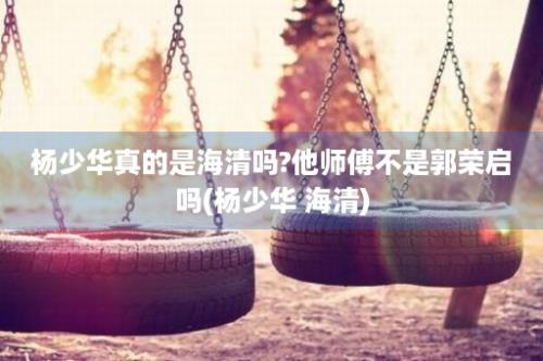 杨少华真的是海清吗?他师傅不是郭荣启吗(杨少华 海清)