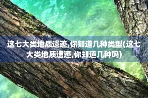 这七大类地质遗迹,你知道几种类型(这七大类地质遗迹,你知道几种吗)