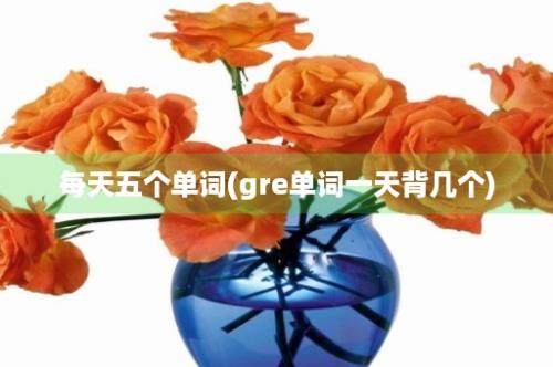 每天五个单词(gre单词一天背几个)