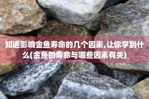 知道影响金鱼寿命的几个因素,让你学到什么(金鱼的寿命与哪些因素有关)