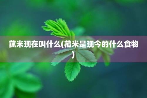 菰米现在叫什么(菰米是现今的什么食物)