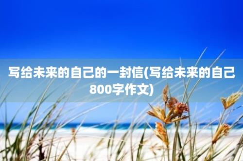 写给未来的自己的一封信(写给未来的自己800字作文)