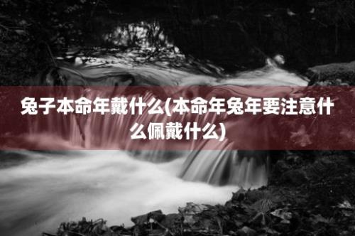 兔子本命年戴什么(本命年兔年要注意什么佩戴什么)