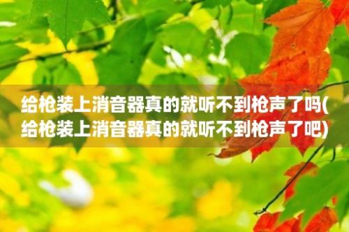 给枪装上消音器真的就听不到枪声了吗(给枪装上消音器真的就听不到枪声了吧)