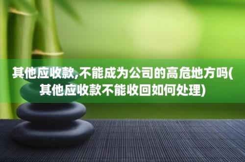 其他应收款,不能成为公司的高危地方吗(其他应收款不能收回如何处理)