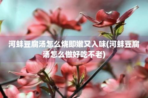 河蚌豆腐汤怎么烧即嫩又入味(河蚌豆腐汤怎么做好吃不老)