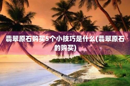 翡翠原石购买5个小技巧是什么(翡翠原石的购买)