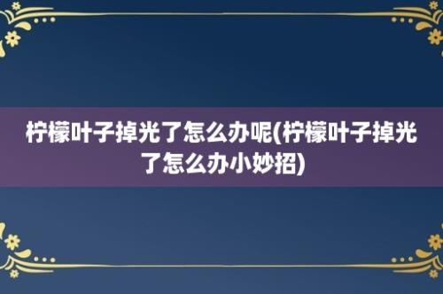 柠檬叶子掉光了怎么办呢(柠檬叶子掉光了怎么办小妙招)