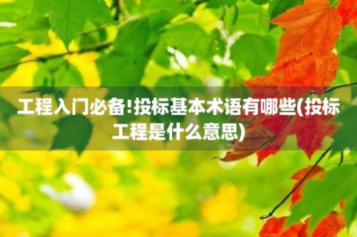 工程入门必备!投标基本术语有哪些(投标工程是什么意思)