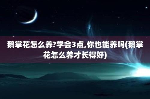 鹅掌花怎么养?学会3点,你也能养吗(鹅掌花怎么养才长得好)