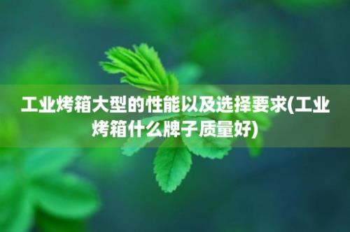 工业烤箱大型的性能以及选择要求(工业烤箱什么牌子质量好)