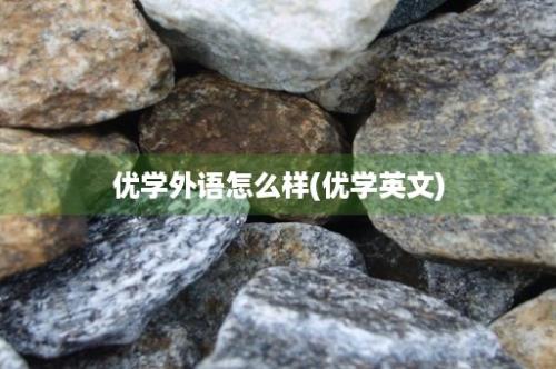 优学外语怎么样(优学英文)