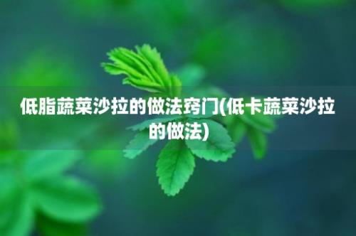 低脂蔬菜沙拉的做法窍门(低卡蔬菜沙拉的做法)