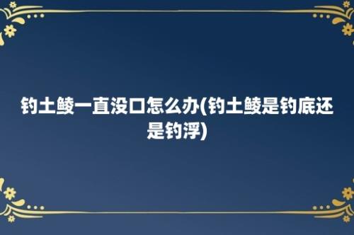 钓土鲮一直没口怎么办(钓土鲮是钓底还是钓浮)