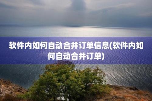 软件内如何自动合并订单信息(软件内如何自动合并订单)