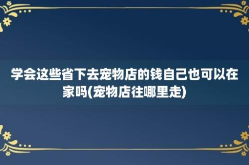 学会这些省下去宠物店的钱自己也可以在家吗(宠物店往哪里走)