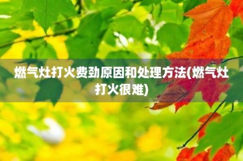 燃气灶打火费劲原因和处理方法(燃气灶打火很难)