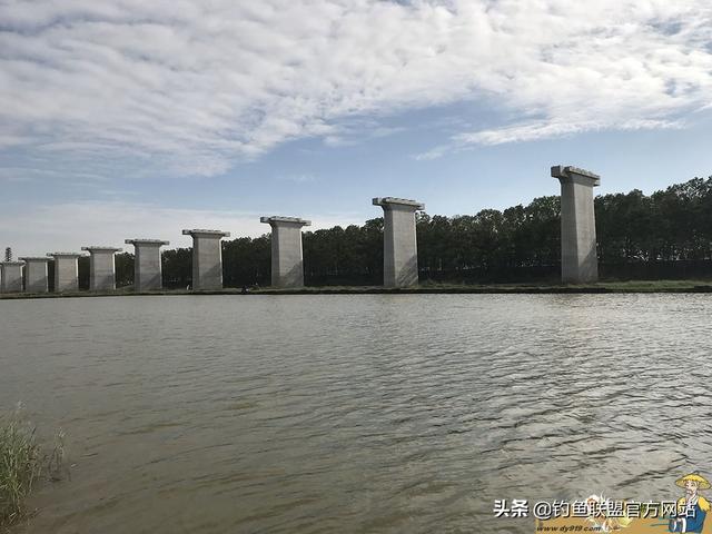 东山岛夜钓黄翅鱼（南沙风中夜钓黄油鲚）(3)