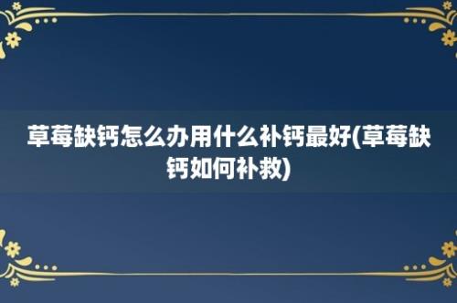 草莓缺钙怎么办用什么补钙最好(草莓缺钙如何补救)