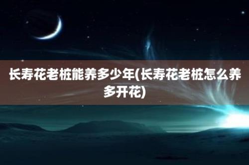 长寿花老桩能养多少年(长寿花老桩怎么养多开花)