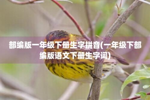 部编版一年级下册生字拼音(一年级下部编版语文下册生字词)