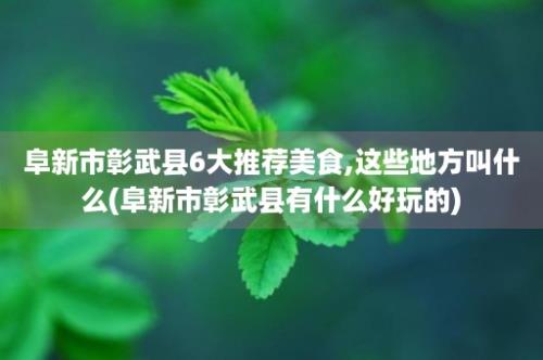 阜新市彰武县6大推荐美食,这些地方叫什么(阜新市彰武县有什么好玩的)