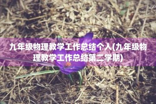 九年级物理教学工作总结个人(九年级物理教学工作总结第二学期)