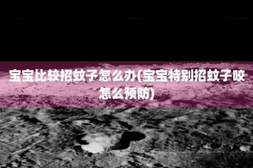 宝宝比较招蚊子怎么办(宝宝特别招蚊子咬怎么预防)