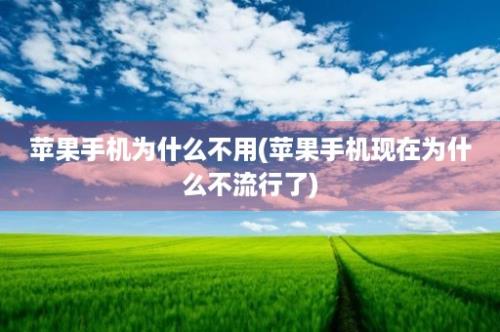 苹果手机为什么不用(苹果手机现在为什么不流行了)