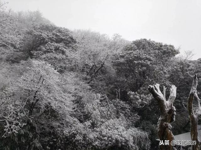 贵州梵净山这几天冷吗（贵州开启冰冻模式）(11)