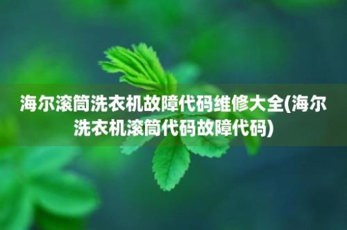 海尔滚筒洗衣机故障代码维修大全(海尔洗衣机滚筒代码故障代码)