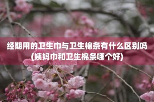 经期用的卫生巾与卫生棉条有什么区别吗(姨妈巾和卫生棉条哪个好)