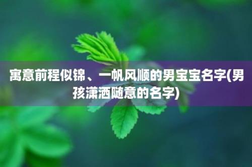 寓意前程似锦、一帆风顺的男宝宝名字(男孩潇洒随意的名字)